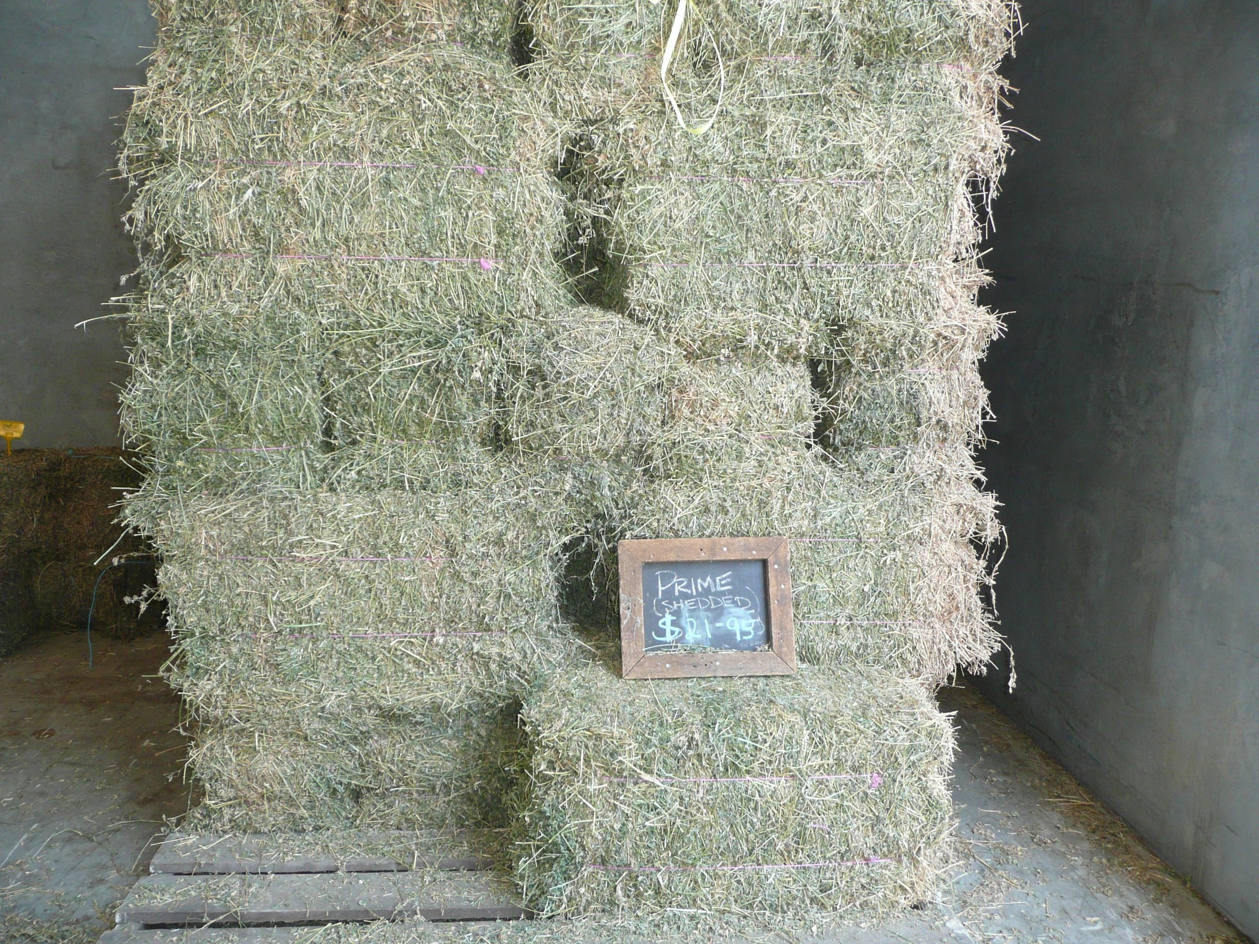 Have you got a stable hay supply?