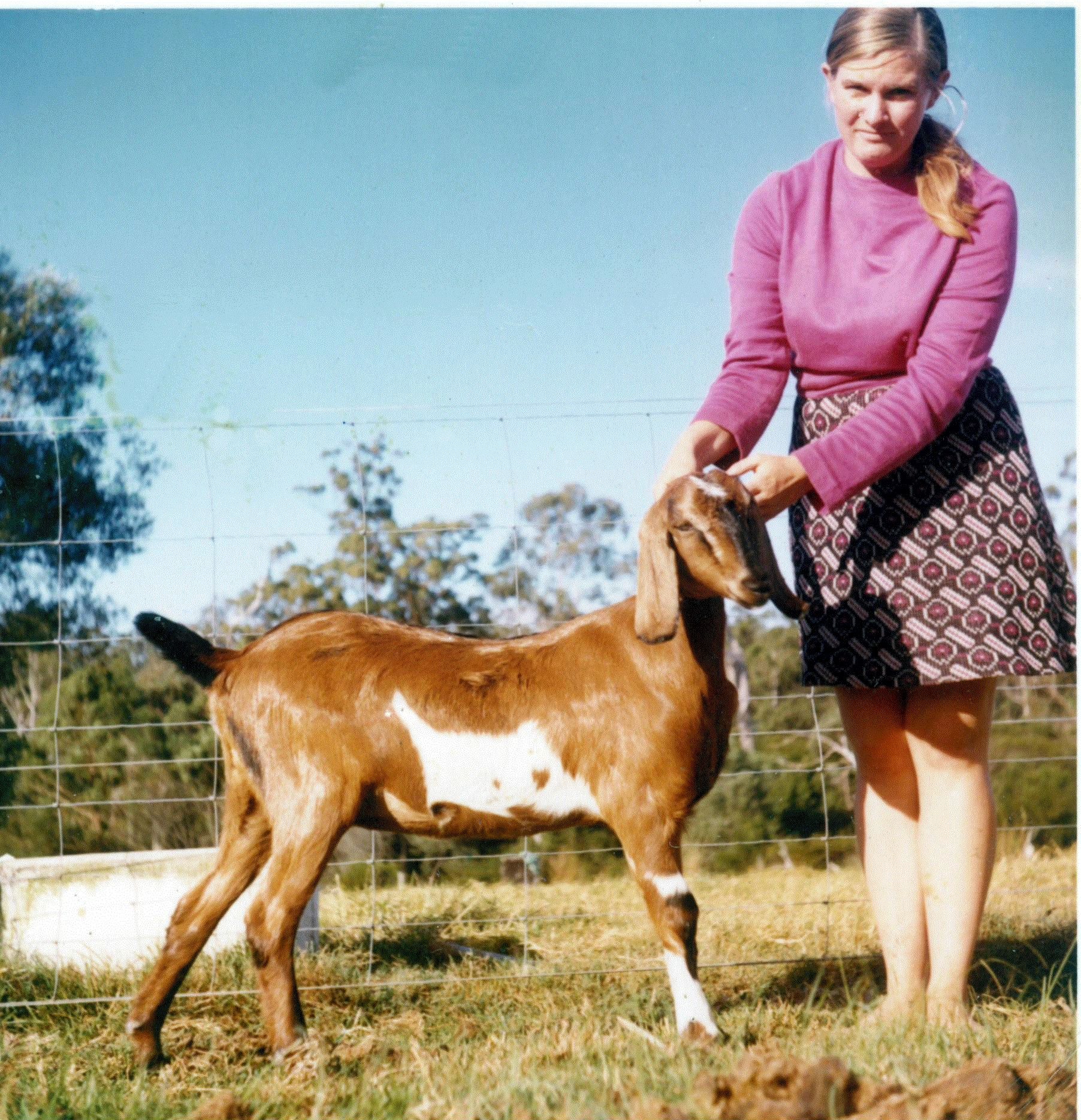 Just bought a new goat?