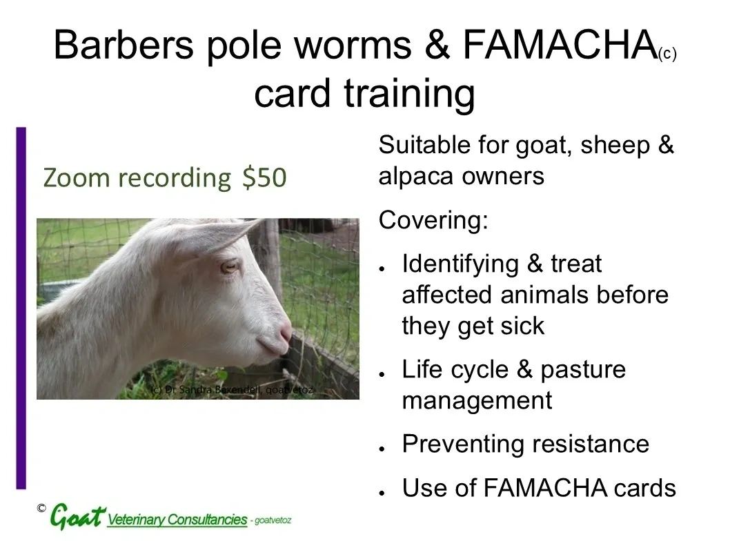 Barbers pole and FAMACHA training