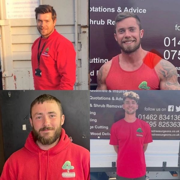 4Seasons Specialist Tree Surgeons Ltd - Meet the team!