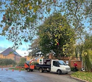 Expert Tree Cutting Services | 4Seasons Tree Surgeons