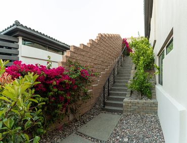 Outdoor staircase with vibrant flowers and greenery along the side.