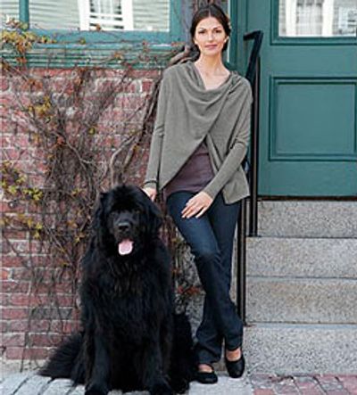 Newfoundland Companion Dog