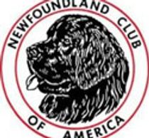 Newfoundland Club of America