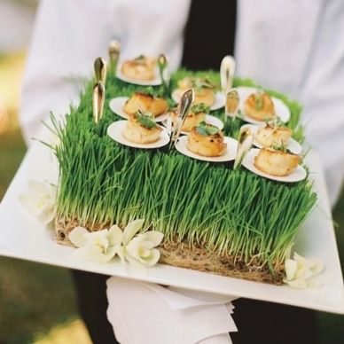 Corporate Catering