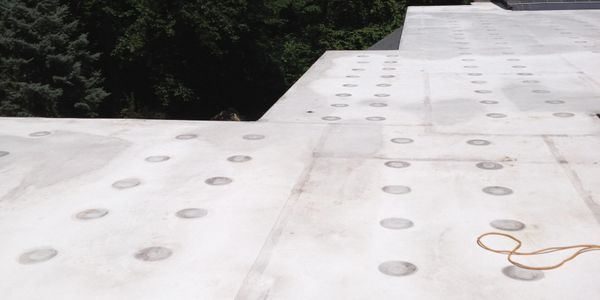 Silicone roof system