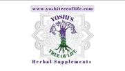 Yoshi Tree of Life