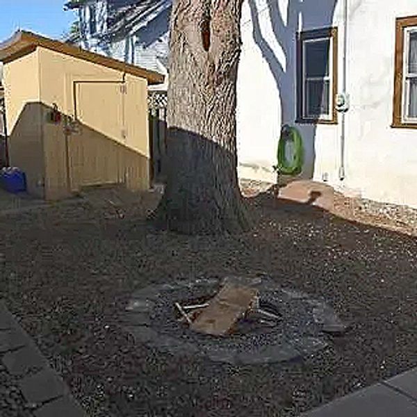 Backyard with a fire pit, large tree, and a shed beside a house.