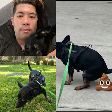 Man with his black dog, the dog is seen walking and pooping with a poop emoji.