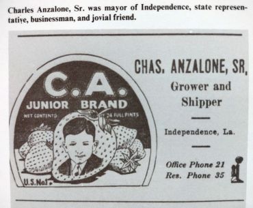 Vintage ad for C.A. Junior Brand by Chas. Anzalone Sr., grower and shipper in Independence, LA.