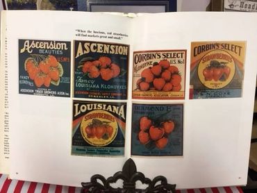 Vintage strawberry crate labels from various brands.