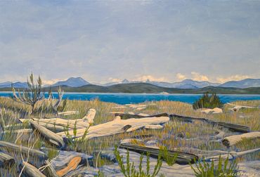 From a photo of the driftwood area east of the Trail at Indian Point.