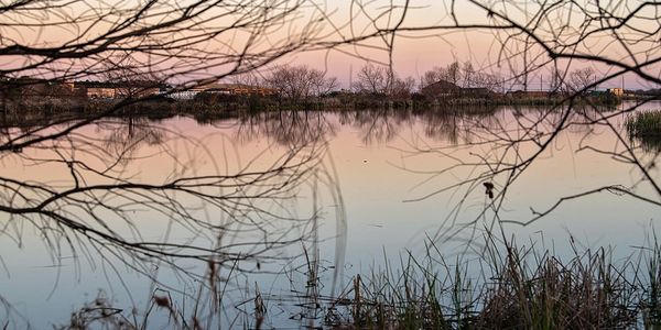 Calm lake at sunset framed by bare tree branches and grass.