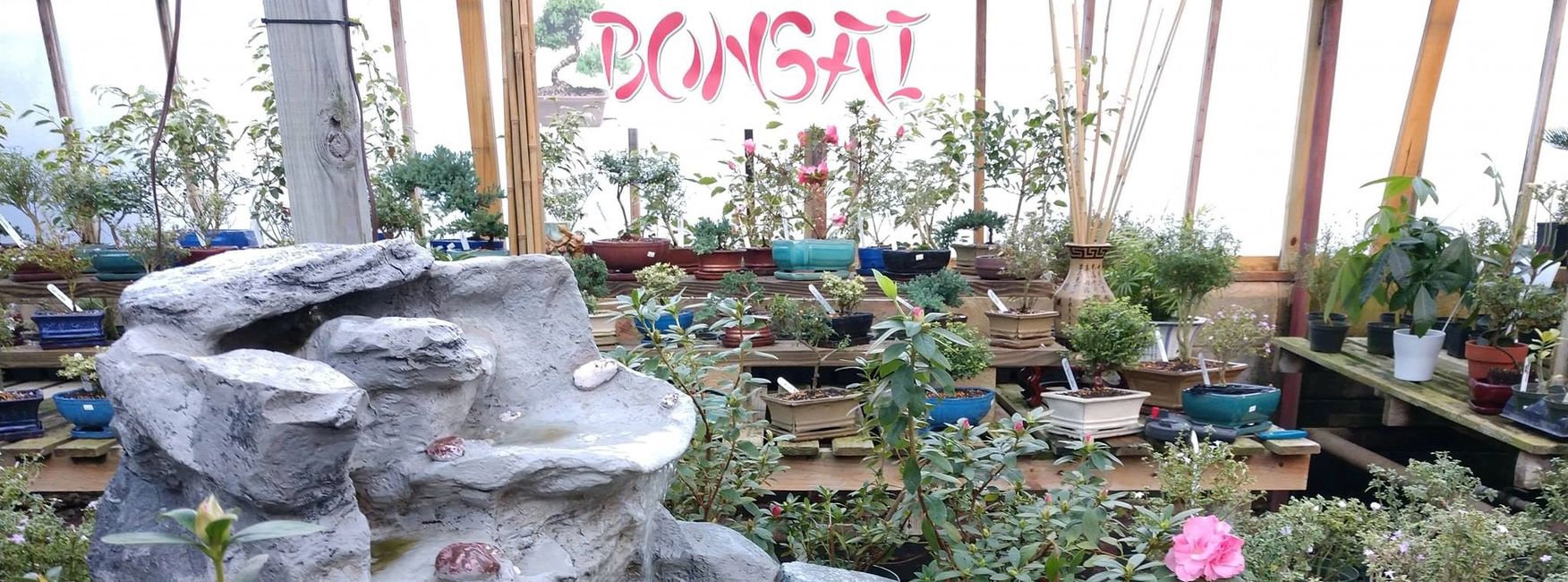 Oakdale Greenhouses, Charlotte NC Bonsai, Bonsai Supplies Oakdale