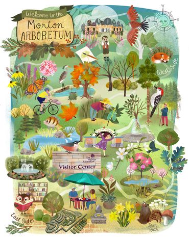 ILLUSTRATED MAP OF MORTON ARBORETUM, LISLE, IL 