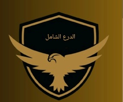 AGGREGATE SHIELD FOR CYBER SECURITY

