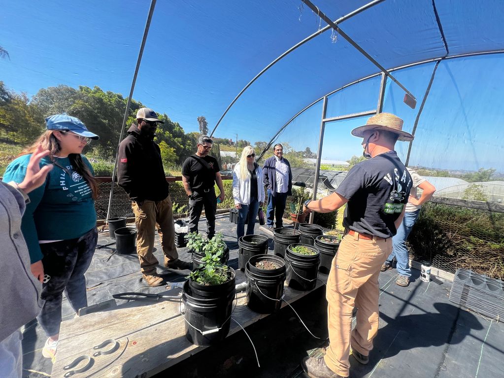 Business Plan in farming