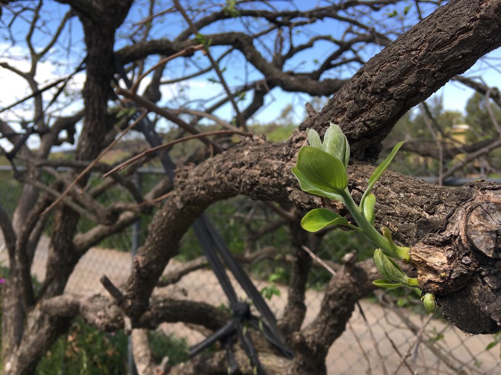 Agriculture Economics