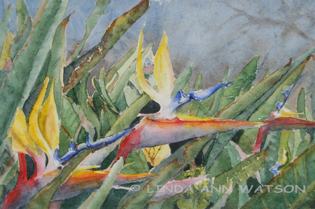 Inspired by the Strelizia specially bred and grown in honor of Nelson Mandela  at the Kirstenbosch N