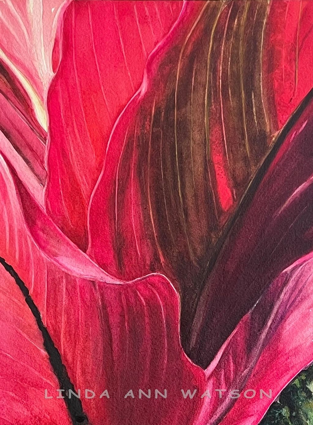 Ti Leaf