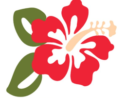 Cairns Tropical Soaps