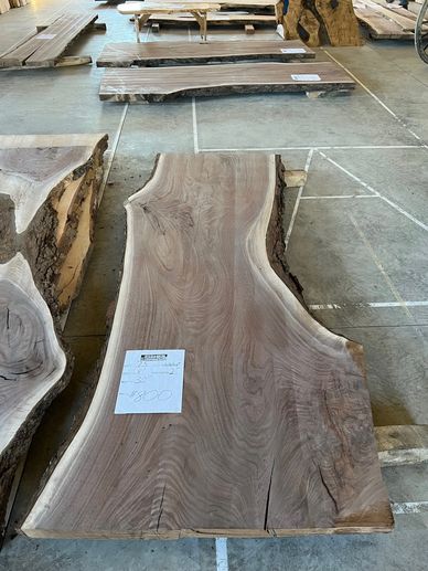 Elm kiln-dried wood slab — Live Edge Hardwoods
