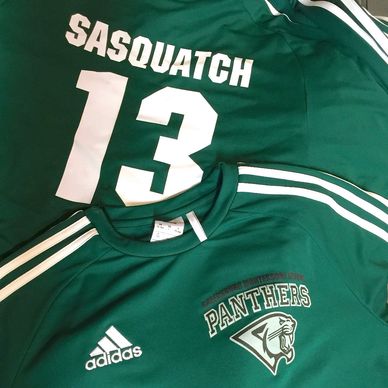 Custom Team Jerseys with names and numbers