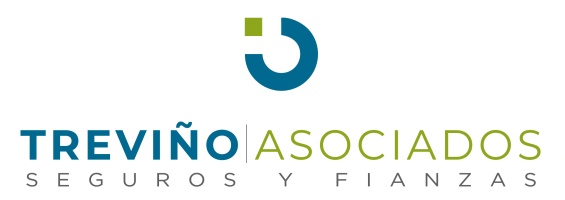 Treviño Asociados