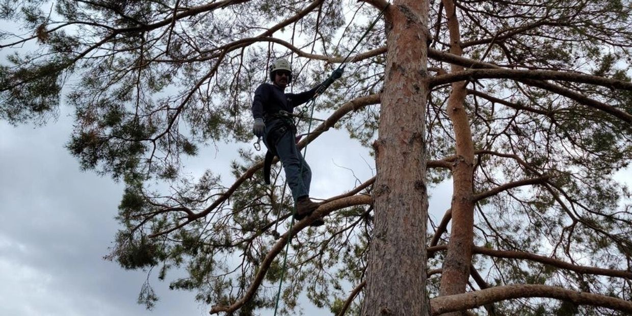 Jason Campos using safe rigging procedures.