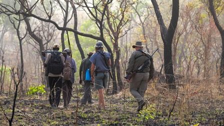 Classic African Hunting - Africa Hunting, Zimbabwe