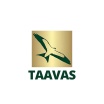 Taavas