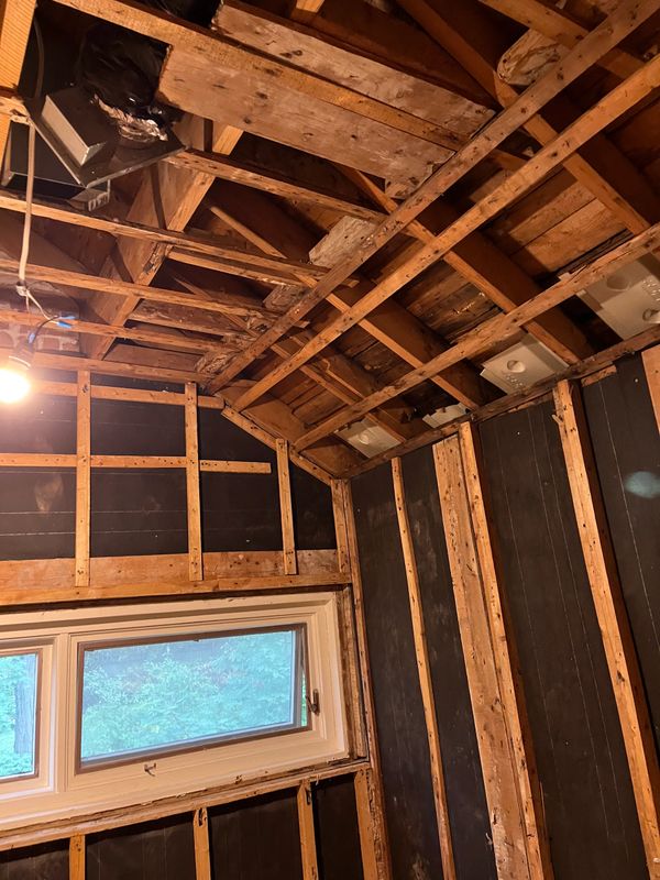 Ceiling demolition