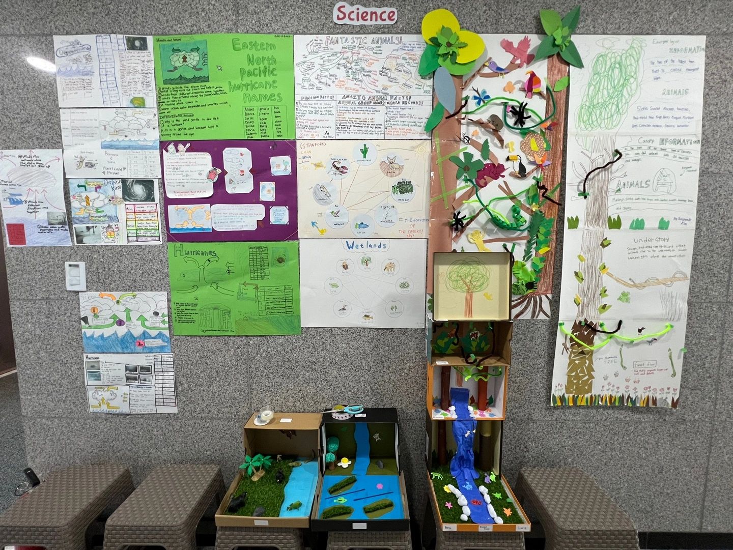 August Science Projects!