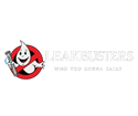 LeakBusters