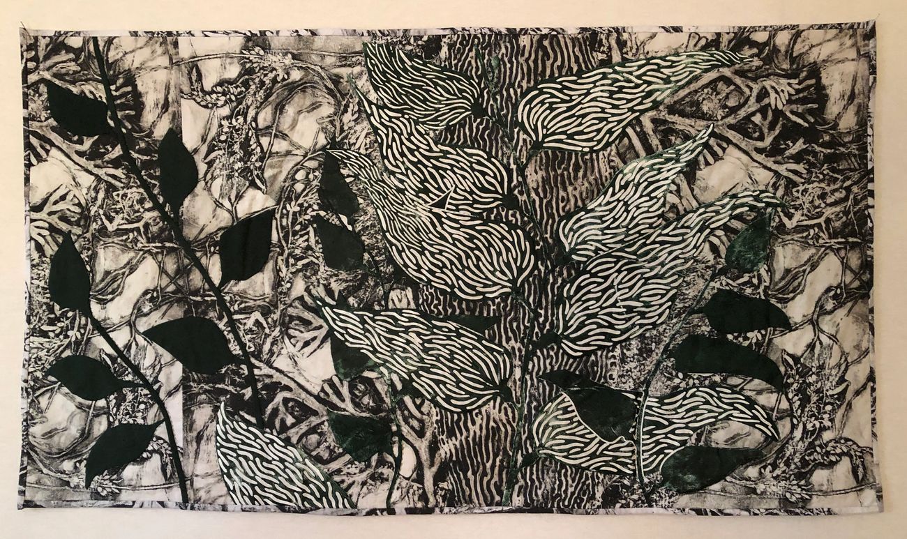 Kelp Series