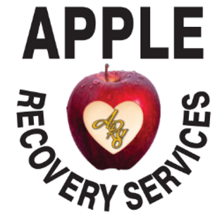 Apple Recovery Services