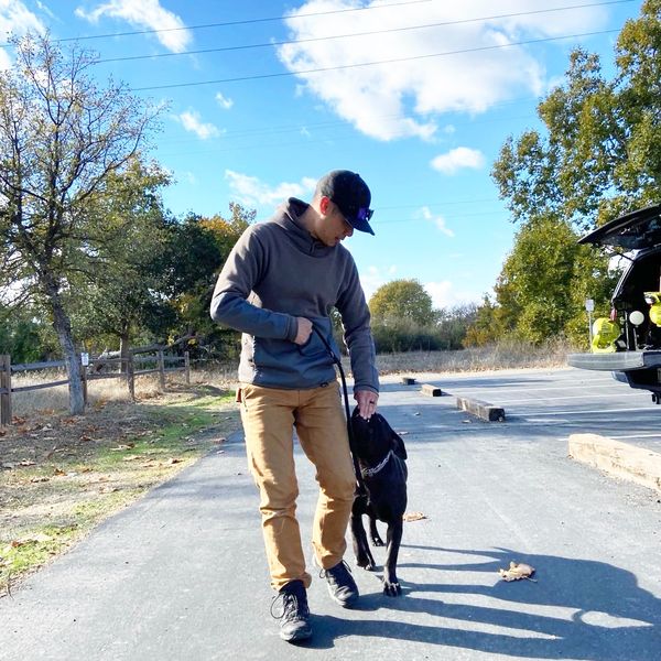 Jonathan Wong, owner & trainer with Raymond, black Pitt bull during a training session