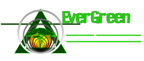 The EverGreen Optimist