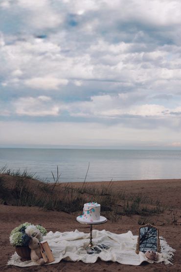 A serene beach picnic setup with a cake, teddy bear, and flowers under a cloudy sky.