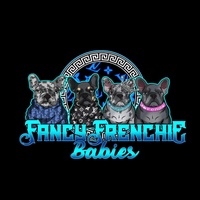 Fancy Frenchie Babies