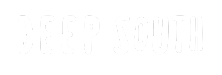 deepsouth.store