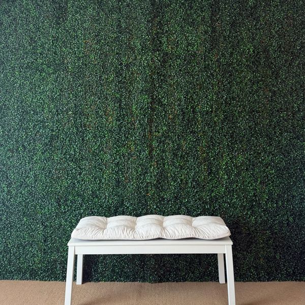 White cushioned bench against a green leafy wall.
