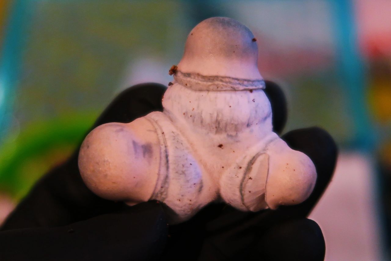 A.P.E cluster bomb