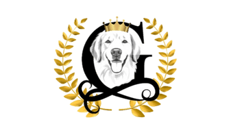 Grandeur English Cream Golden Retrievers