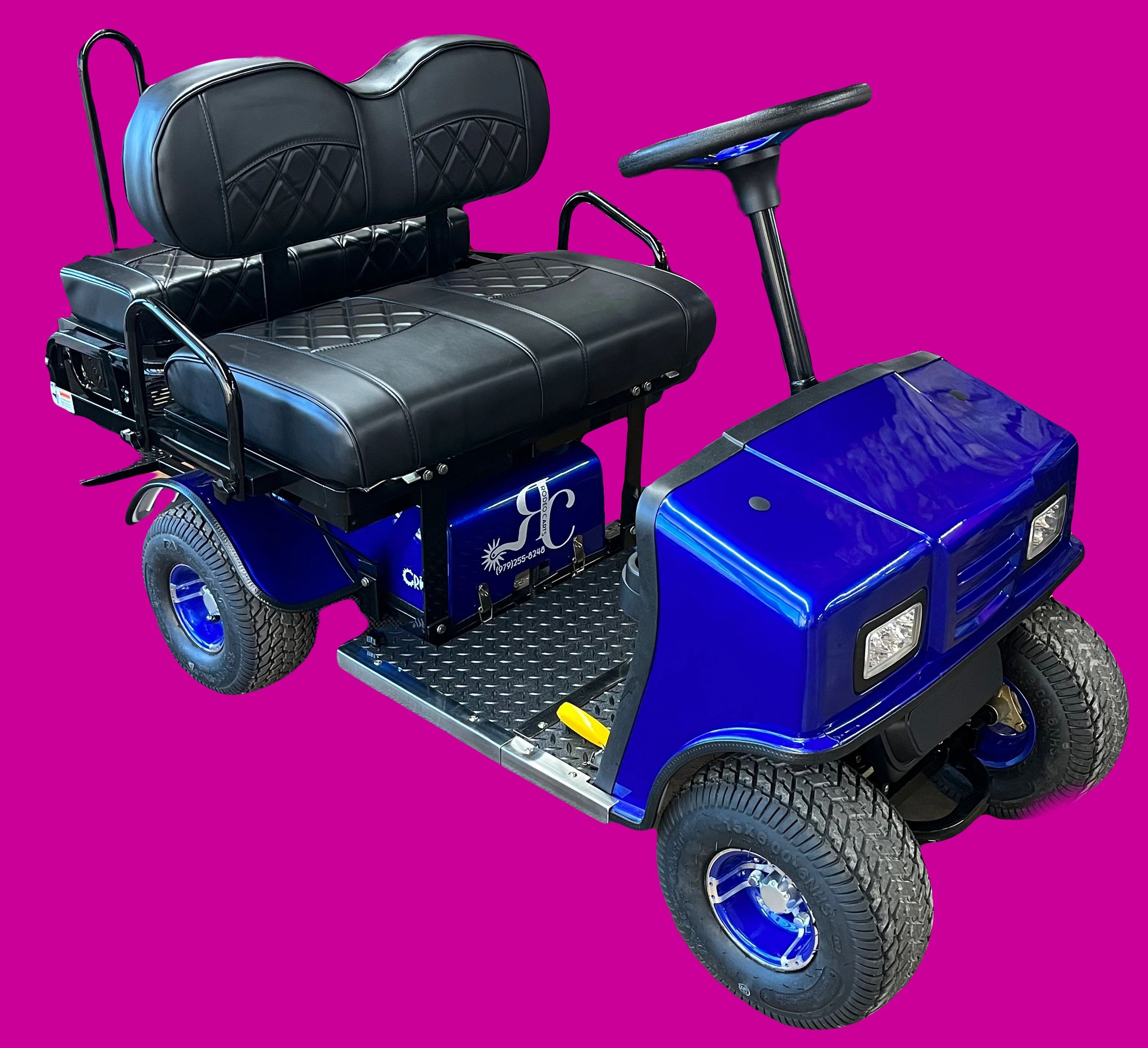 Cricket Mini Golf Cart Experience Fun and Excitement at Rodeo Carts