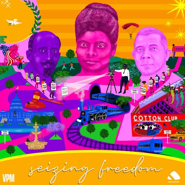 https://seizingfreedom.vpm.org/
