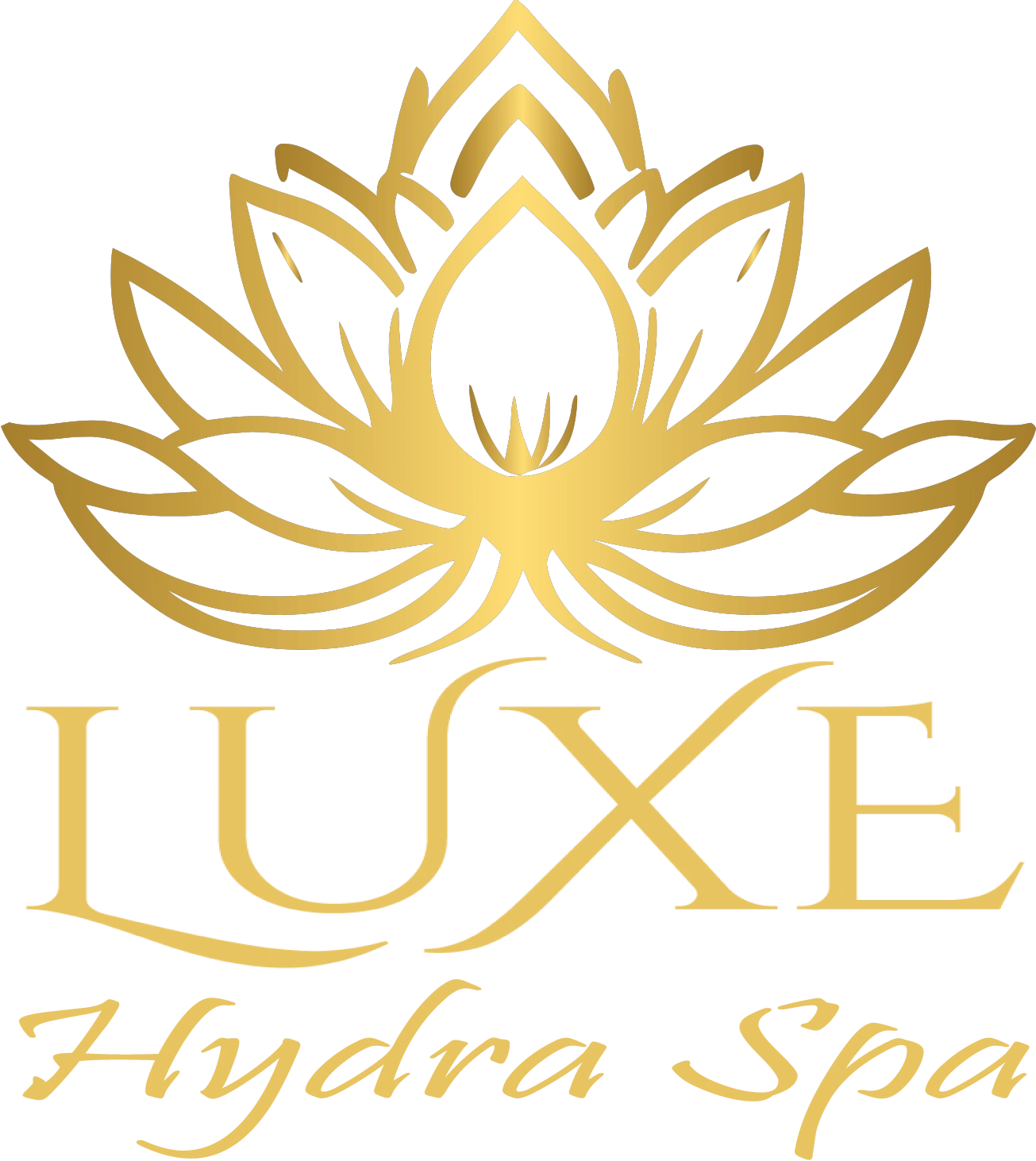 luxehydraspa-com cover