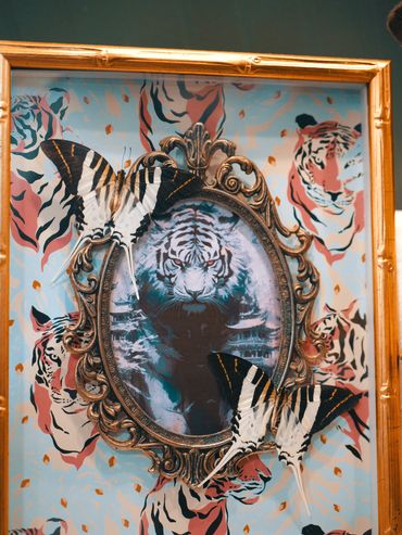 Moth/ butterfly frame for sale at fates tattoo and oddities in Pensacola Fl 