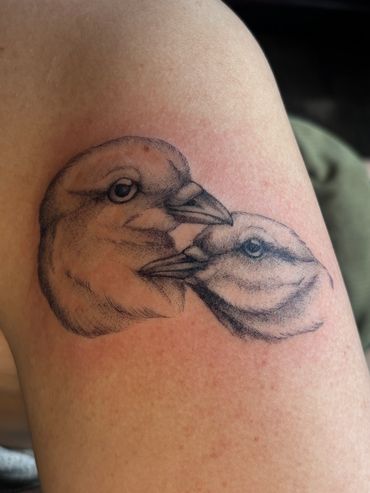 Realistic tattoo of two bird heads facing each other on skin.