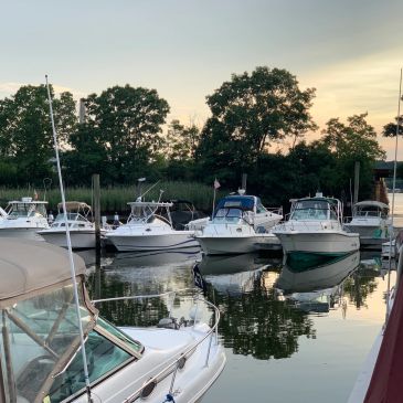 Boats docked at a peaceful Gales Ferry Marina during sunset:  Member update